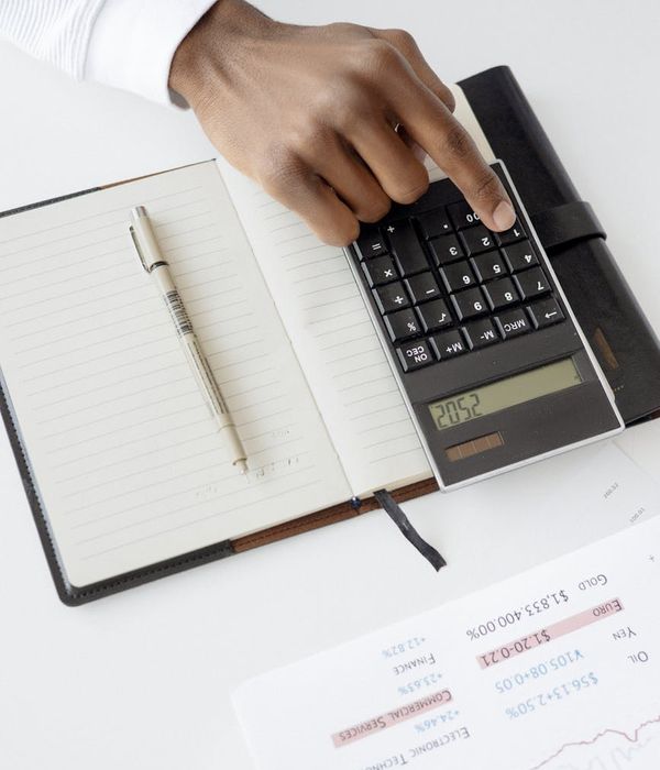 Professional financial expert analyzing business data on computer screen